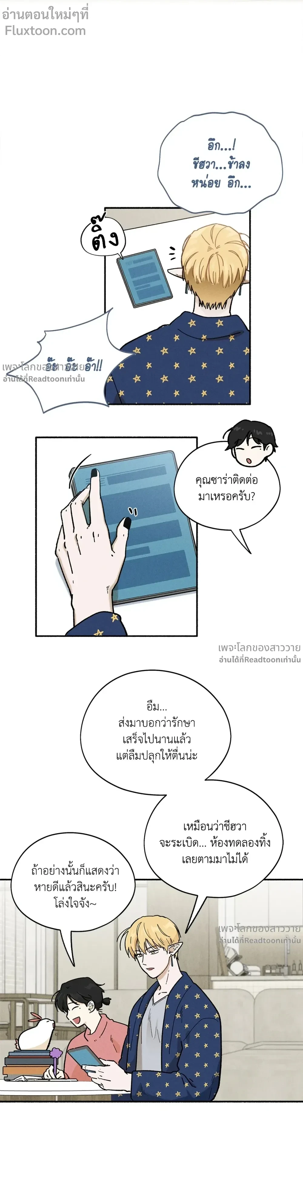 หน้าที่ 13