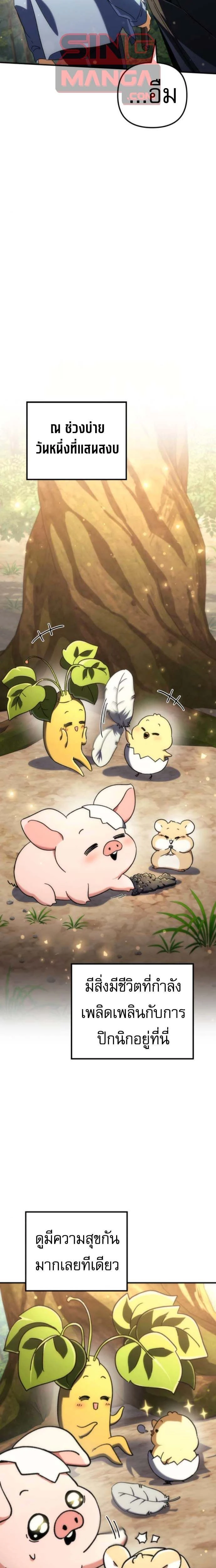 หน้าที่ 31