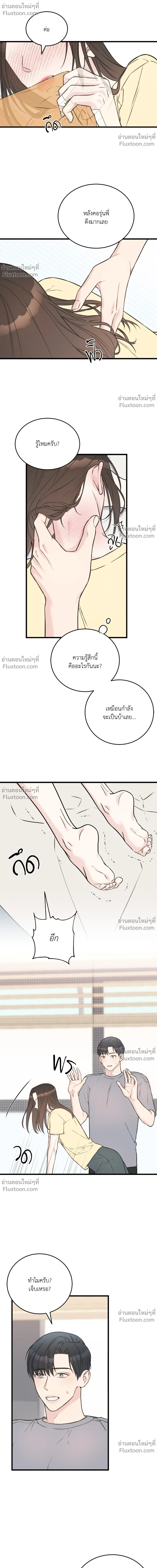 หน้าที่ 17