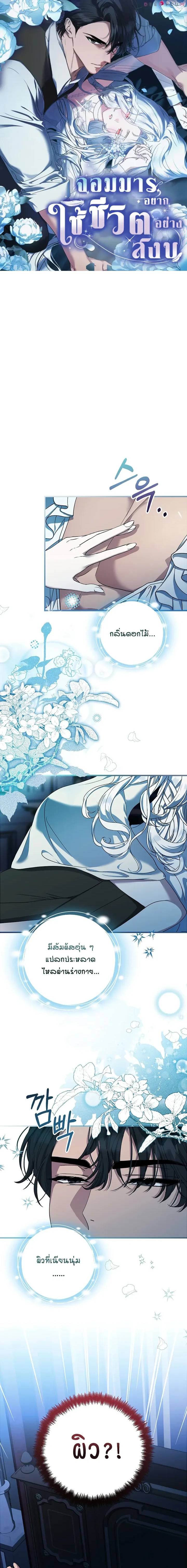 หน้าที่ 1