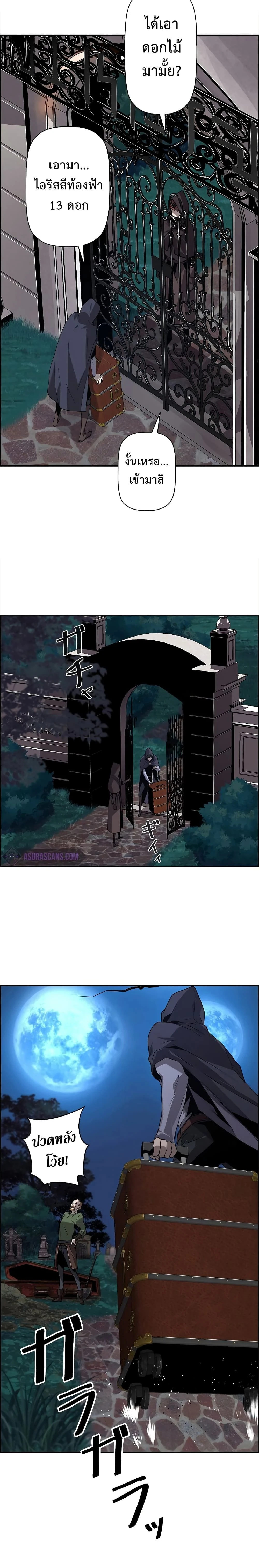 หน้าที่ 13