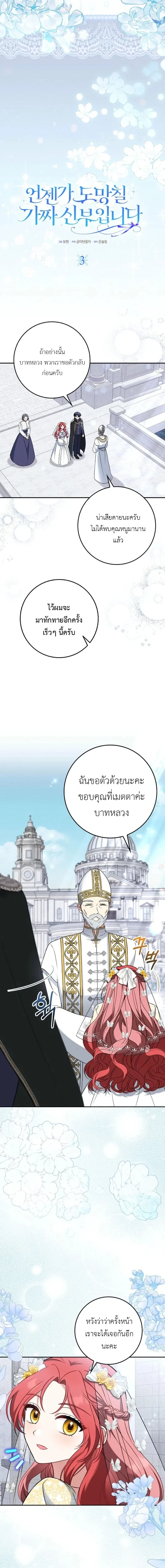 หน้าที่ 3
