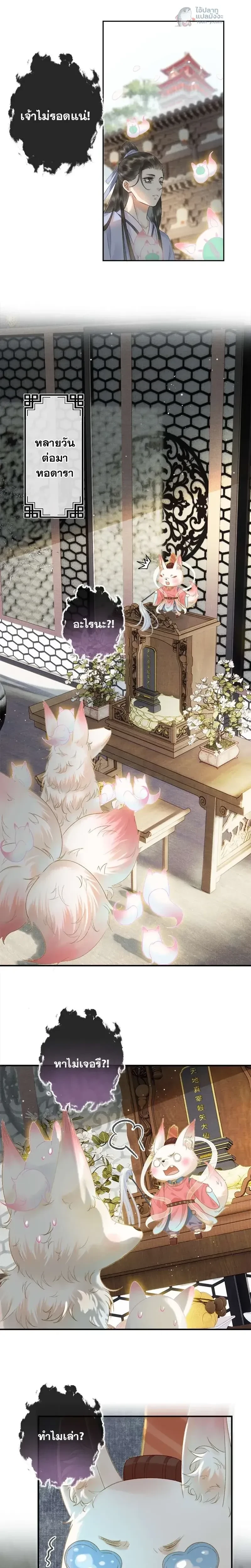 หน้าที่ 8