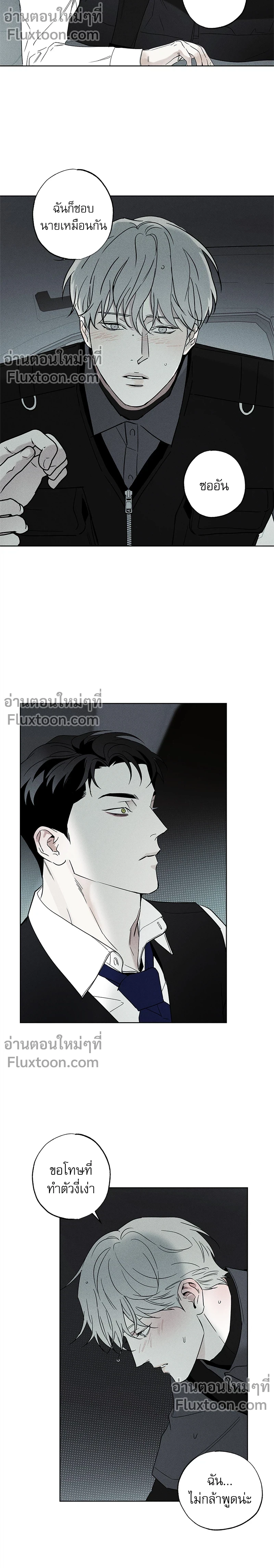 หน้าที่ 13