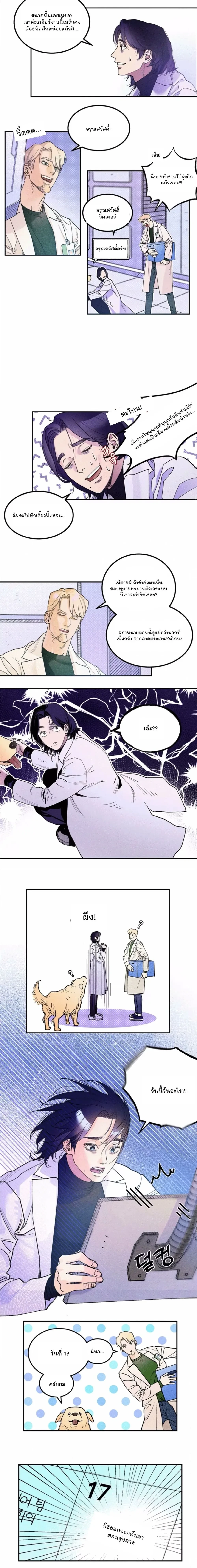 หน้าที่ 7