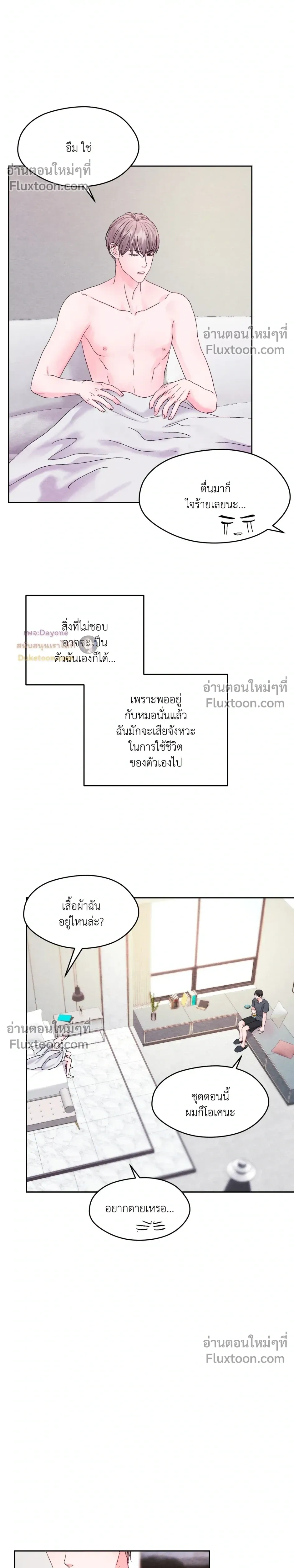 หน้าที่ 17