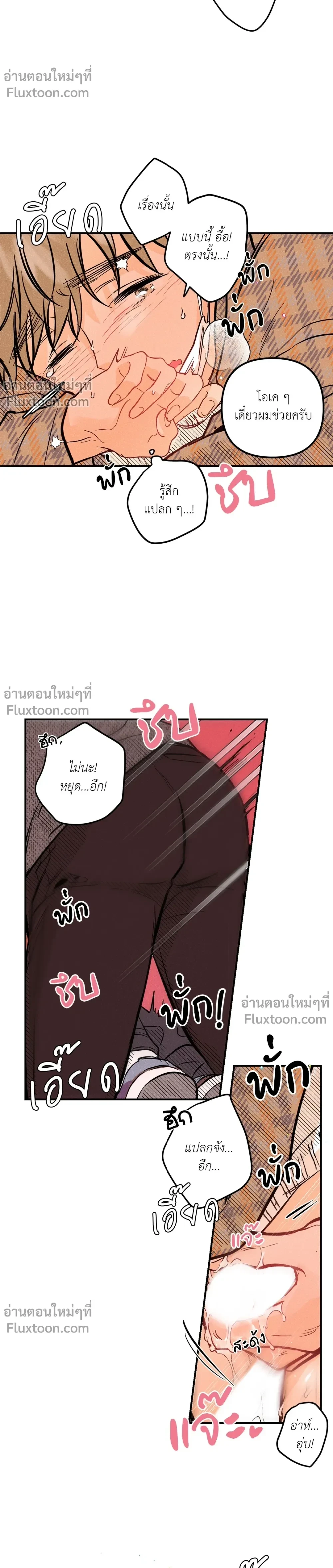 หน้าที่ 13