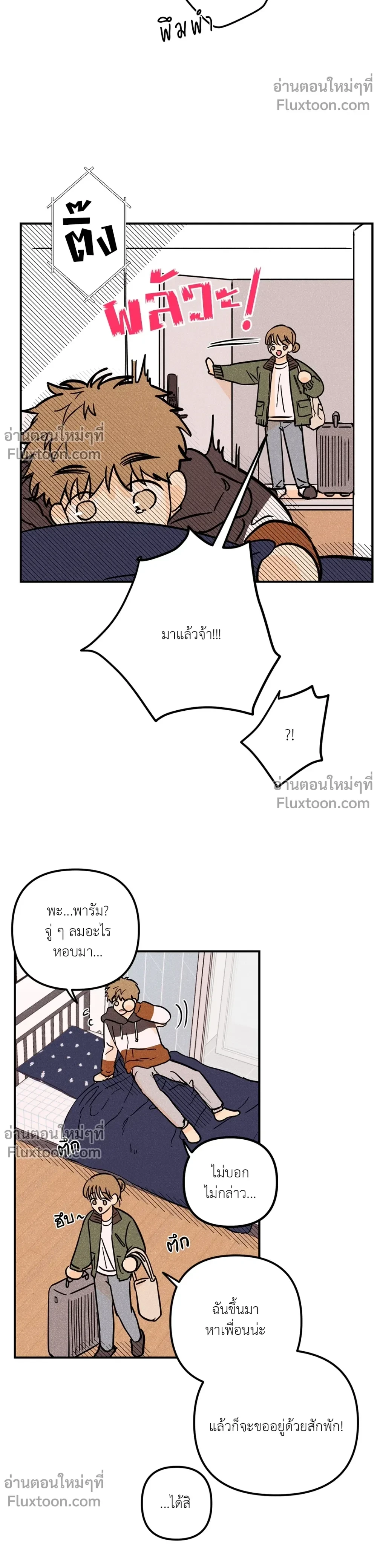 หน้าที่ 13