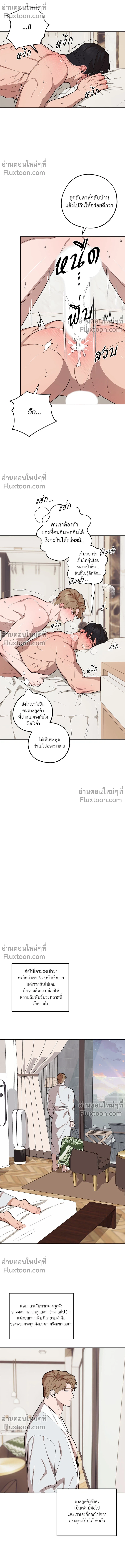 หน้าที่ 15