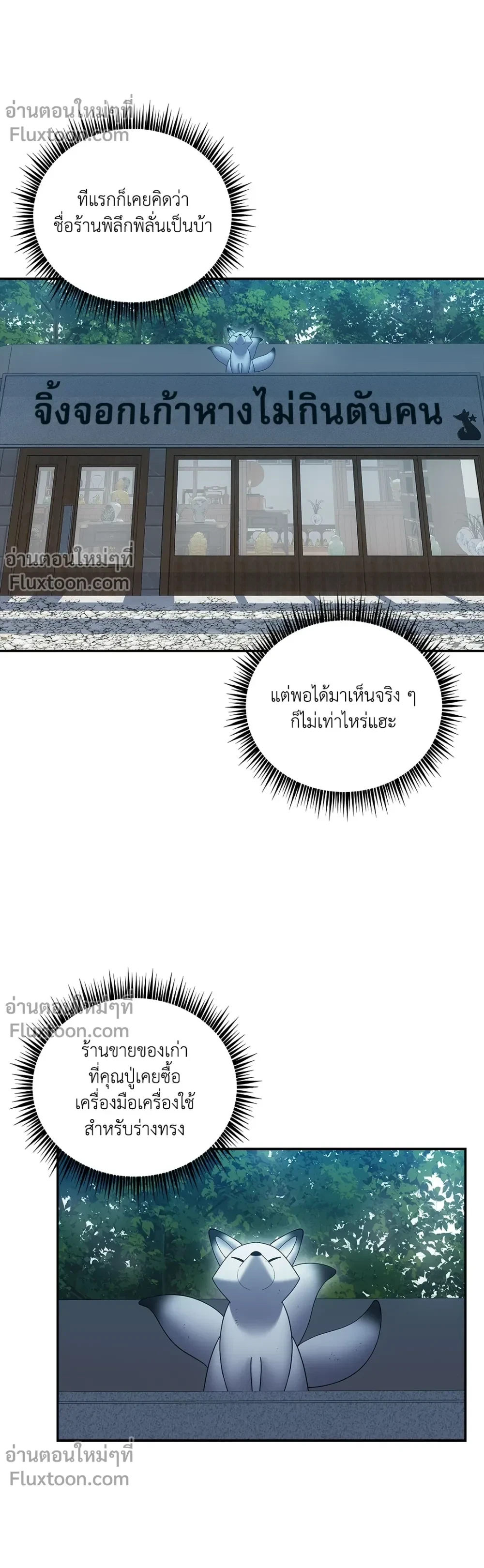 หน้าที่ 13