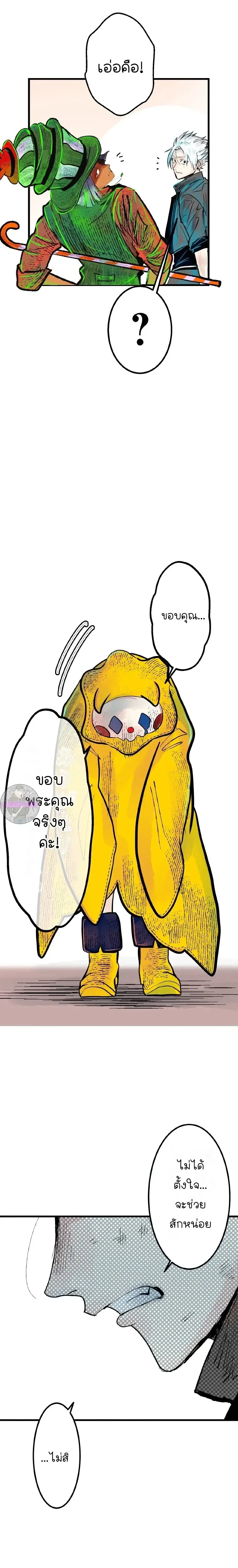 หน้าที่ 13