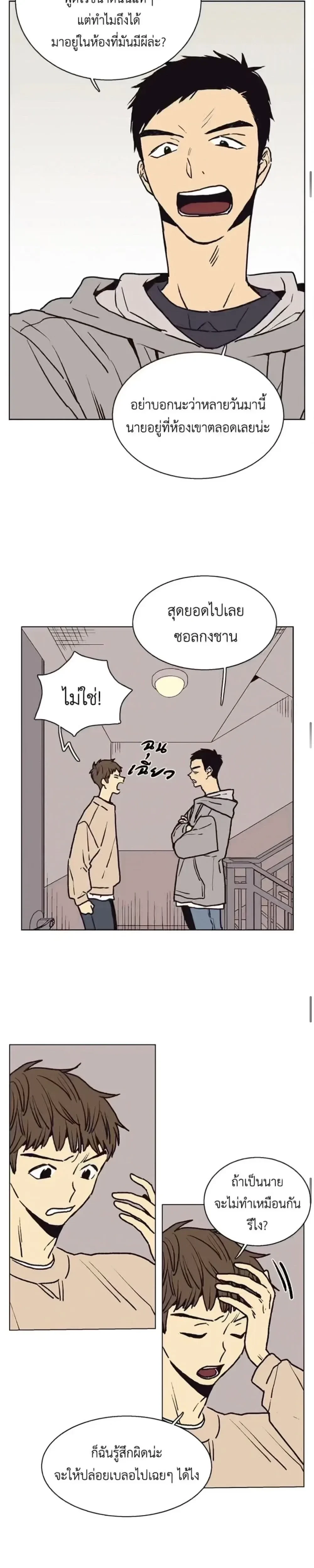 หน้าที่ 13