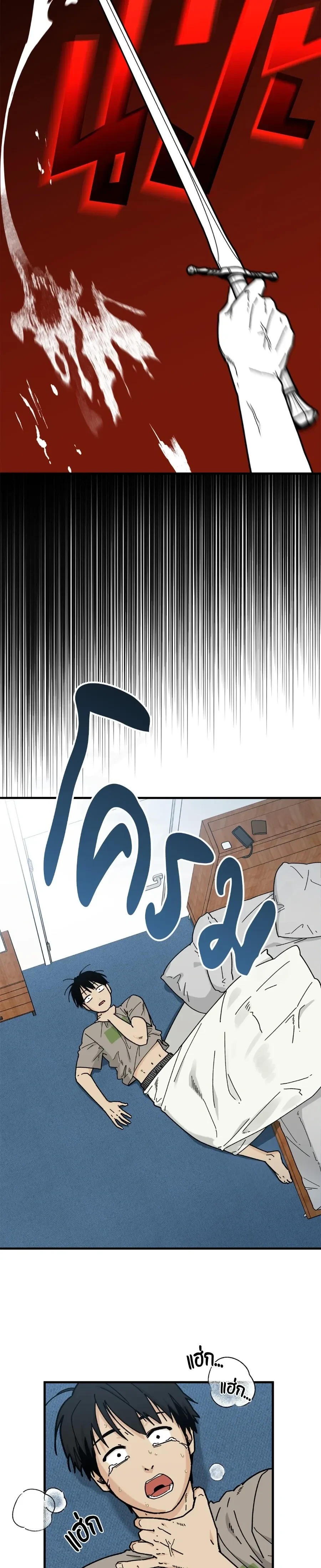 หน้าที่ 17