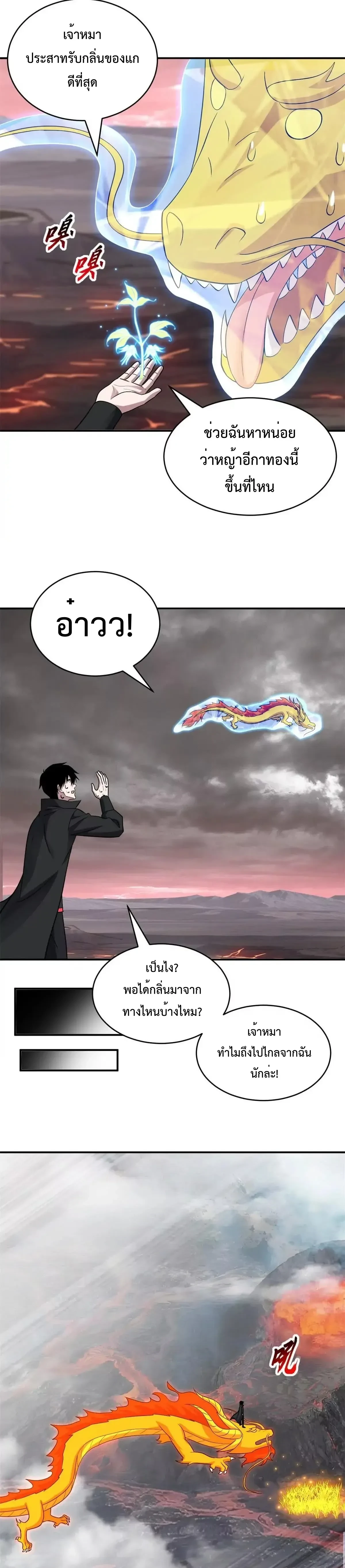 หน้าที่ 17