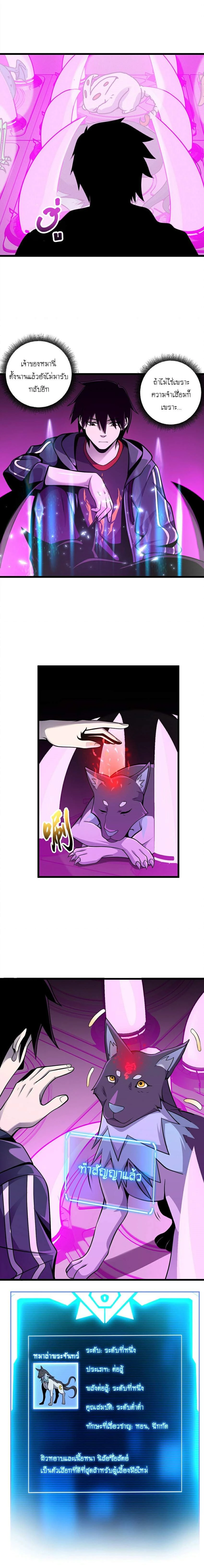 หน้าที่ 4