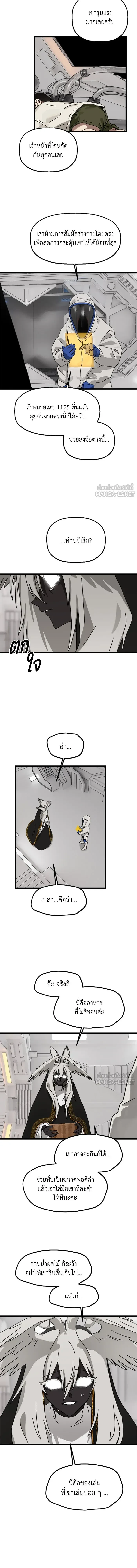 หน้าที่ 11