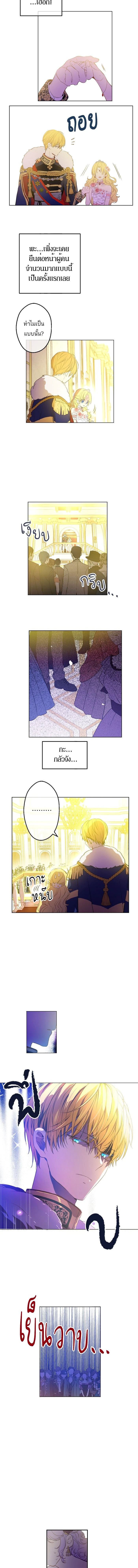 หน้าที่ 3