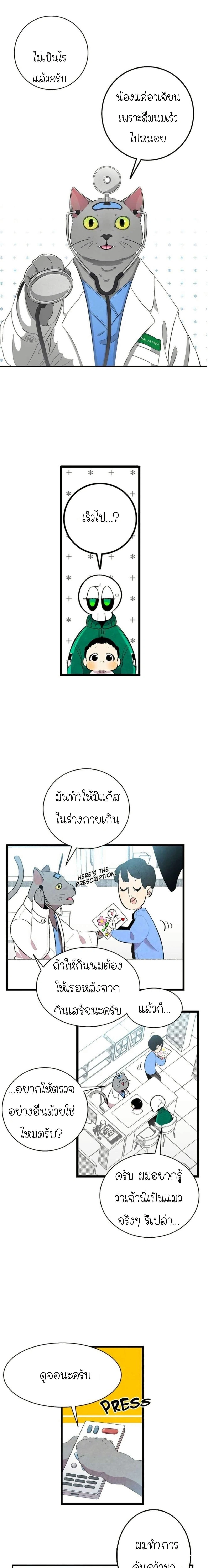 หน้าที่ 12
