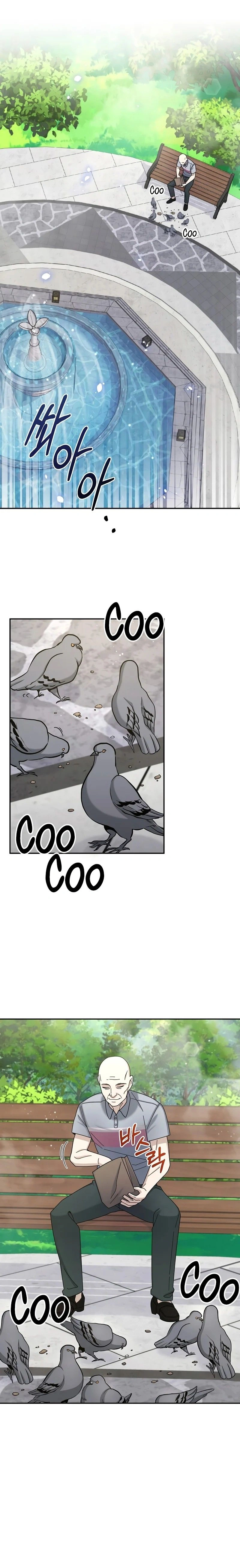 หน้าที่ 17