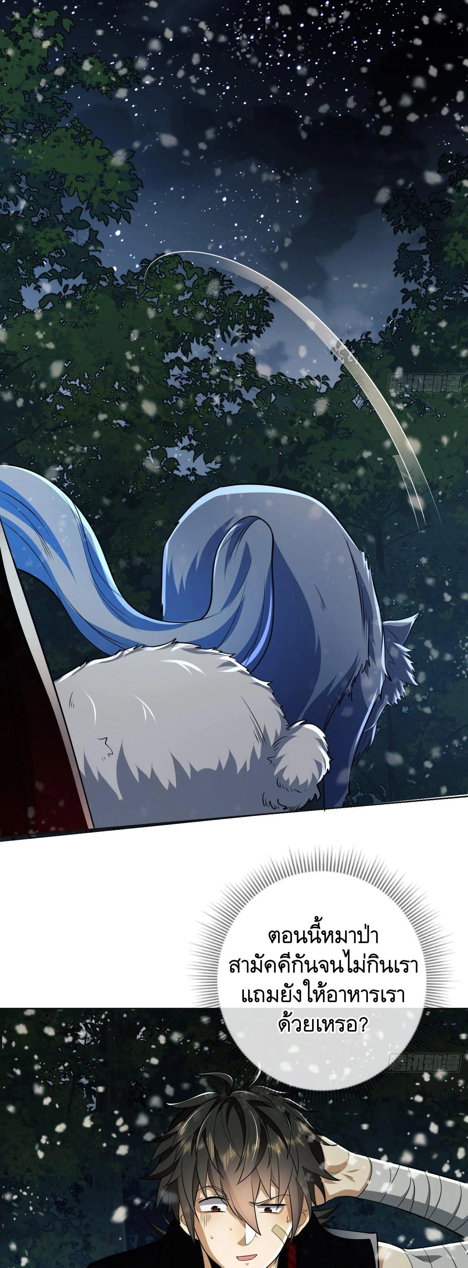 หน้าที่ 31