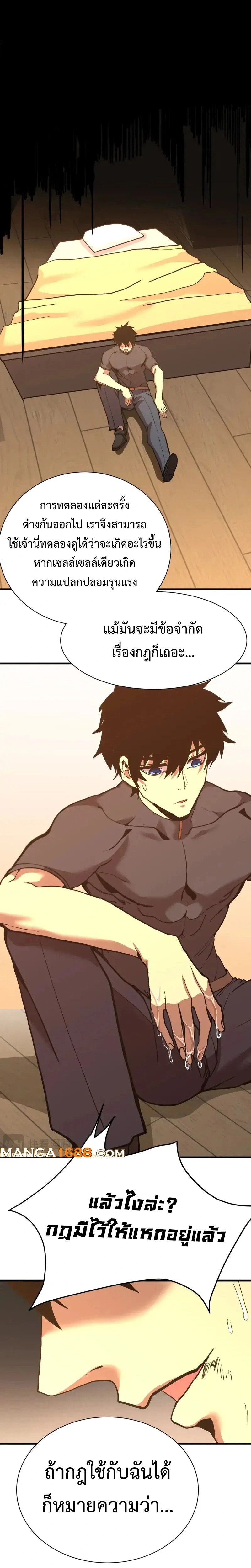 หน้าที่ 13