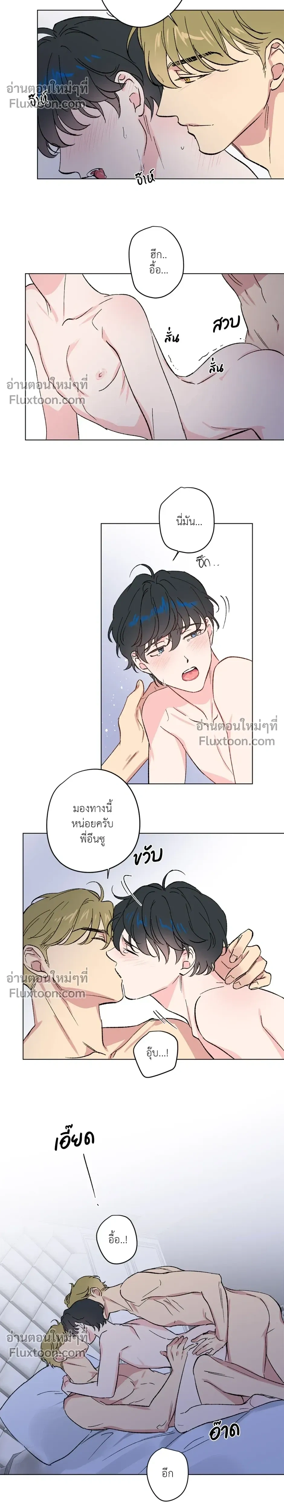 หน้าที่ 11